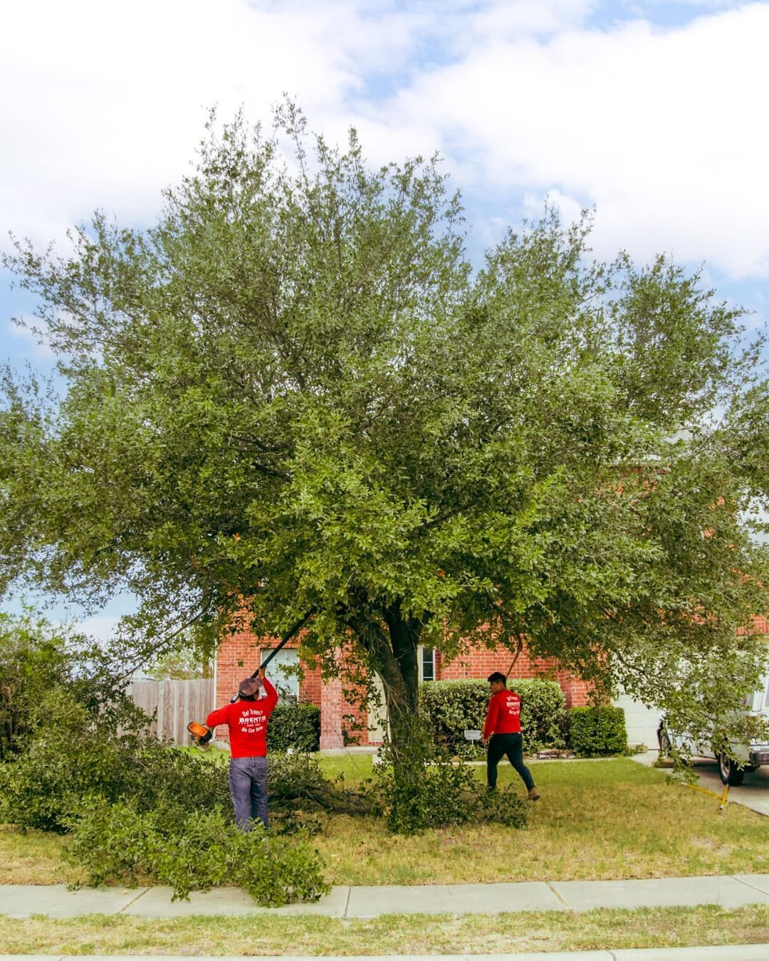Two workers in red uniforms trim branches from a large tree in a residential front yard.