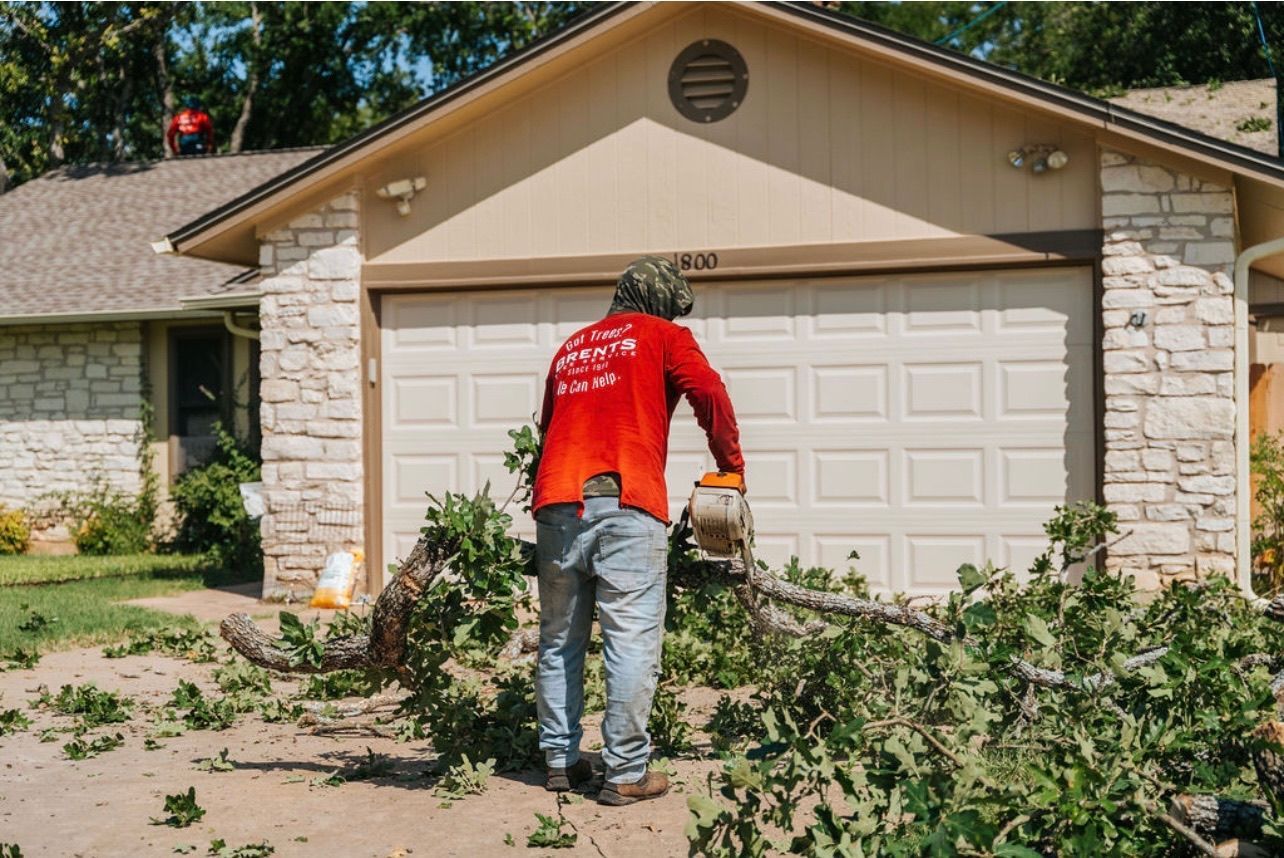 A person in a red shirt uses a chainsaw to cut up fallen tree branches in a residential driveway.