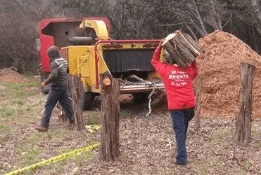 Two people chipping wood: One carries logs, another walks by a wood chipper. Pile of wood chips in background.