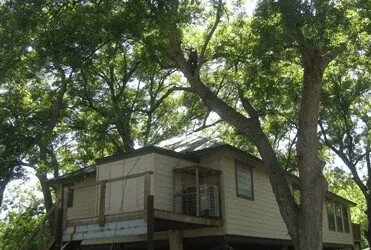 Treehouse nestled among large trees with a small deck. Light tan exterior, green-tinted windows.