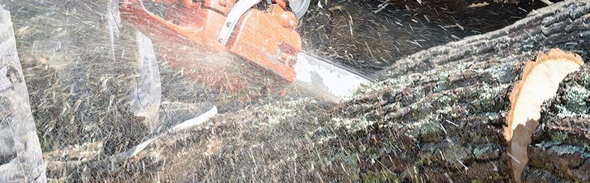 A chainsaw cutting through a tree trunk, generating sawdust.
