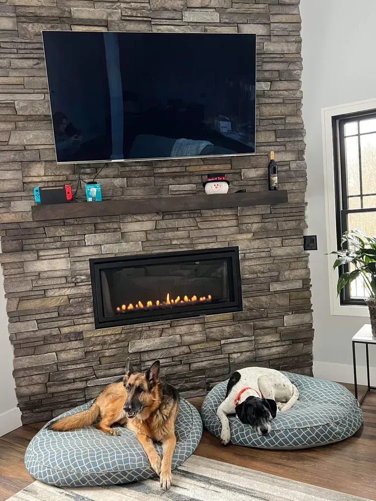 Two dogs lounge on beds in front of a fireplace with a TV mounted above.