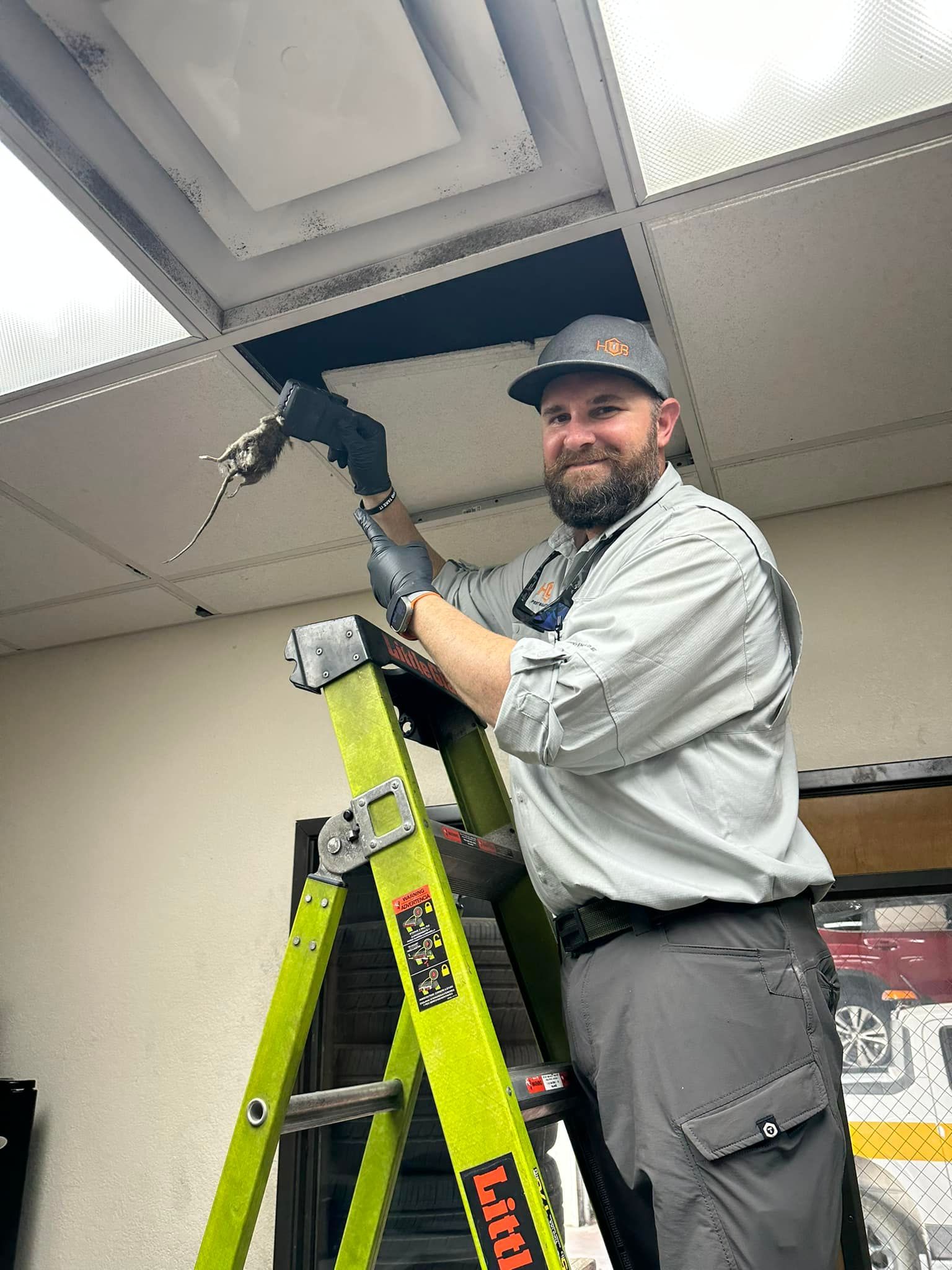 Man on ladder, replacing ceiling tile with power tool, in a lit office.