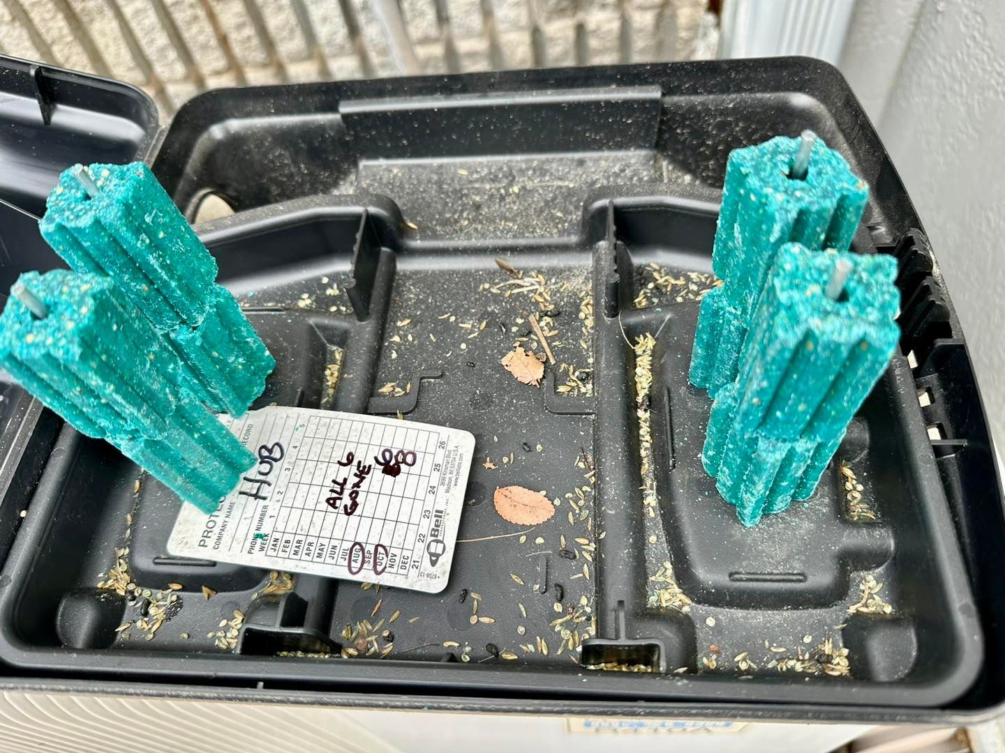 Open black bait station containing green rodenticide blocks, with debris.