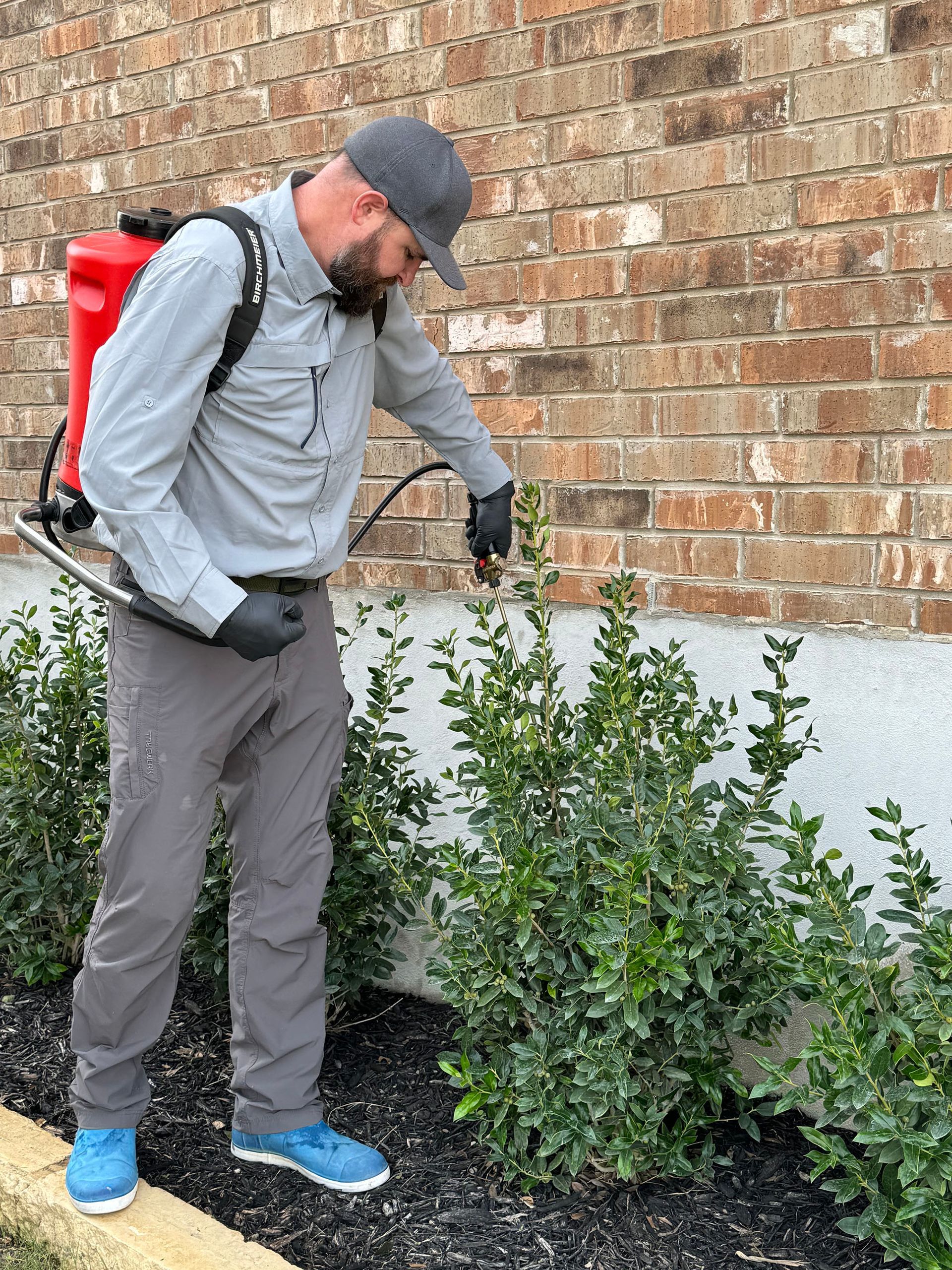 Man in gray uniform spraying bushes with a backpack sprayer next to a brick building.