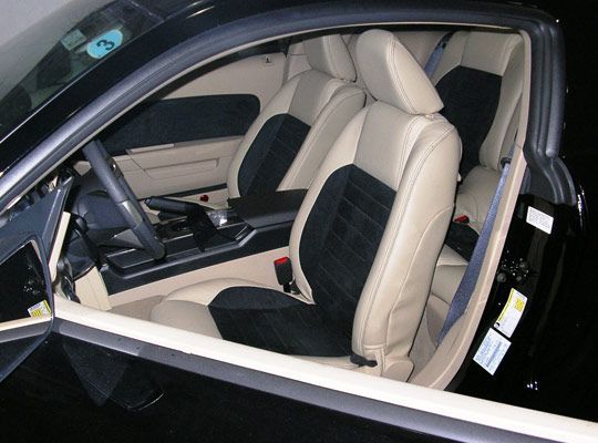Leather Interior