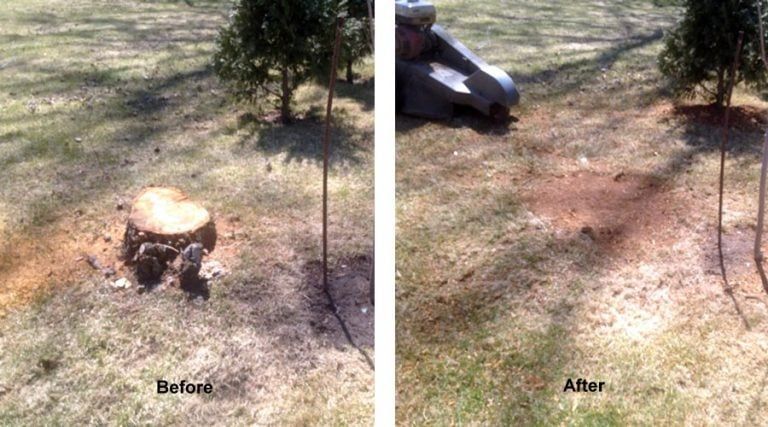 A before and after photo of a tree stump in a yard.