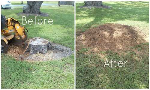 A before and after picture of a tree stump being removed.