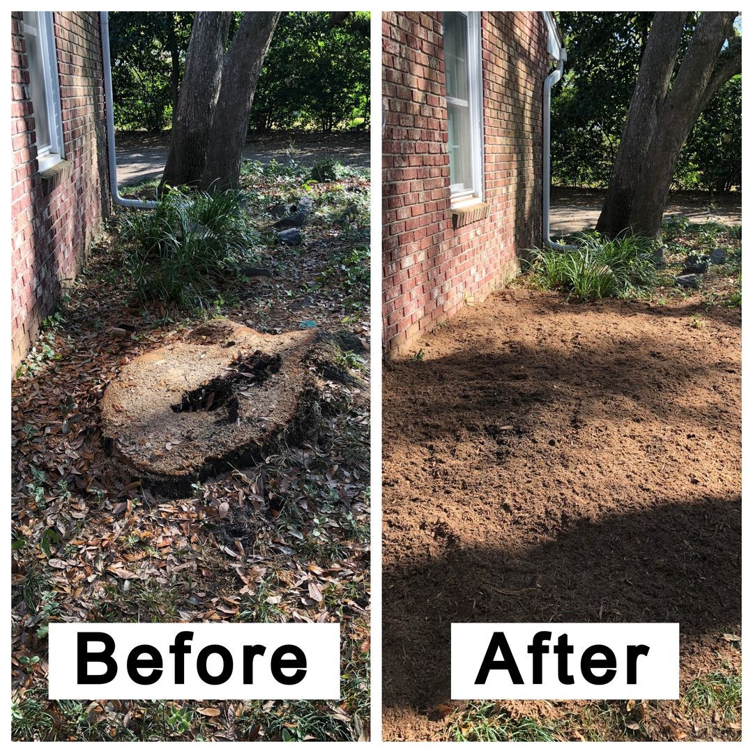 A before and after picture of a tree stump in front of a house.