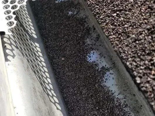 Granules in the gutter