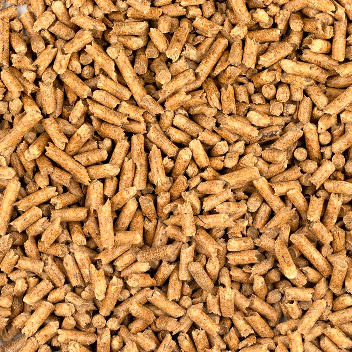 Close-up of tan pet food pellets filling the frame
