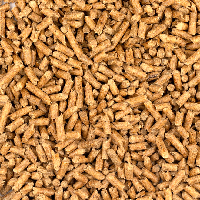 Close-up of tan pet food pellets filling the frame