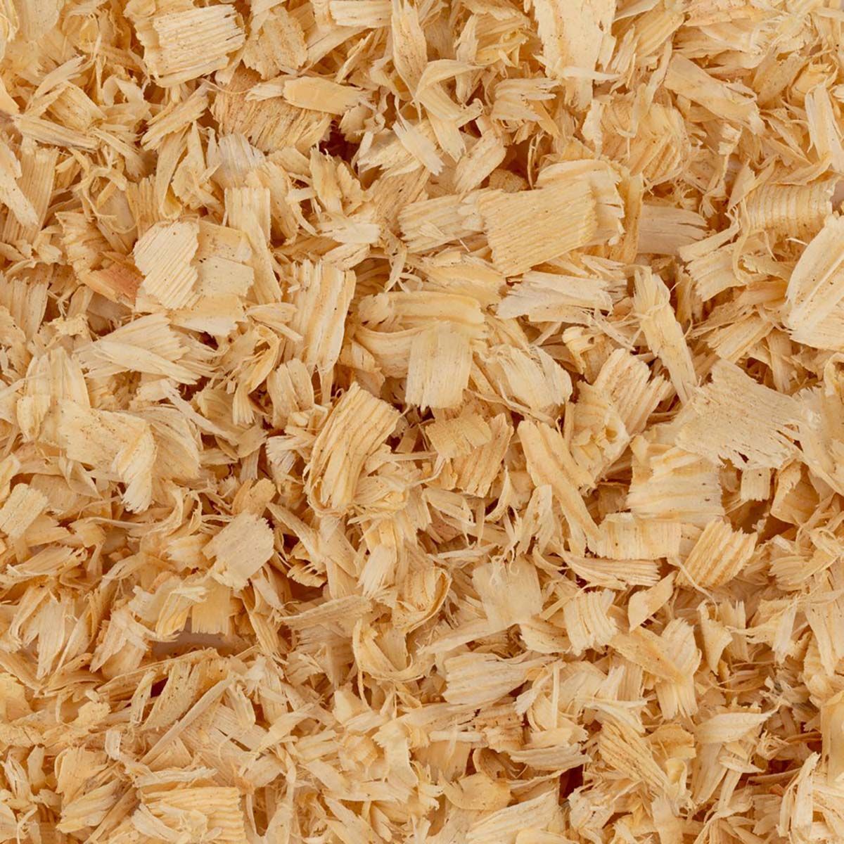 Close-up of light tan wood shavings filling the frame