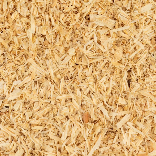 Close-up of pale tan wood shavings filling the frame