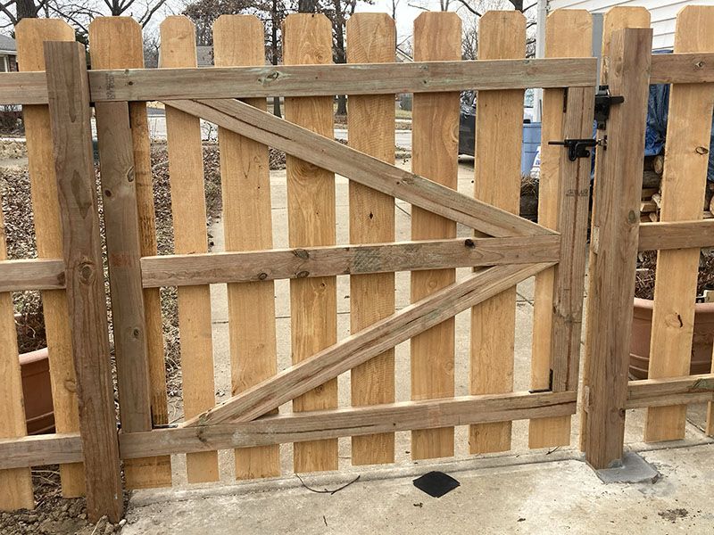 Wooden slat fence gate with diagonal braces and black latch in a backyard setting
