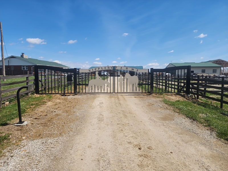 Rural farm entrance with a closed black gate at the end of a dirt driveway under a blue sky