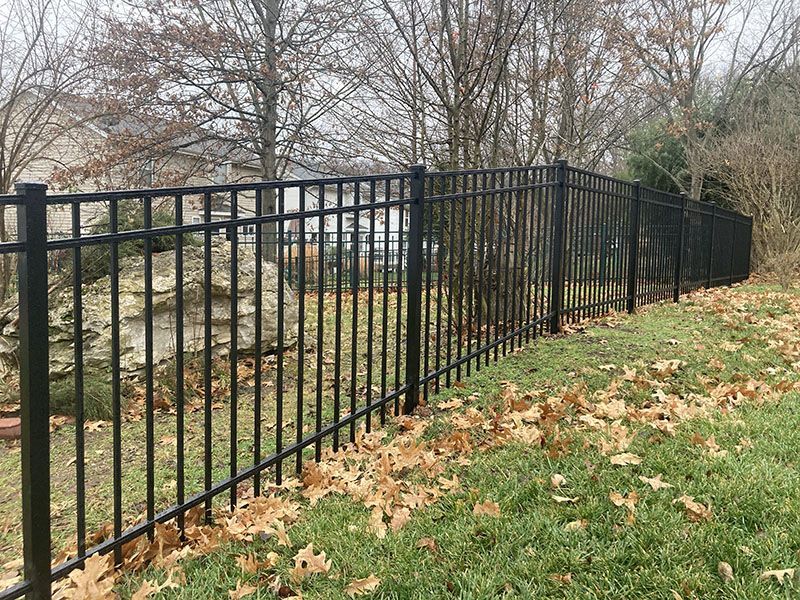 Black metal fence along a grassy slope with fallen leaves and bare trees in the background