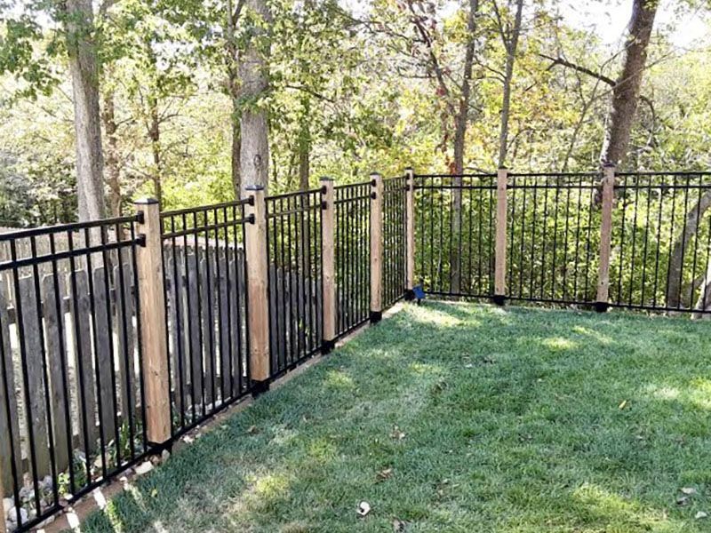 Black metal fence around a grassy yard with trees and a wooded area beyond