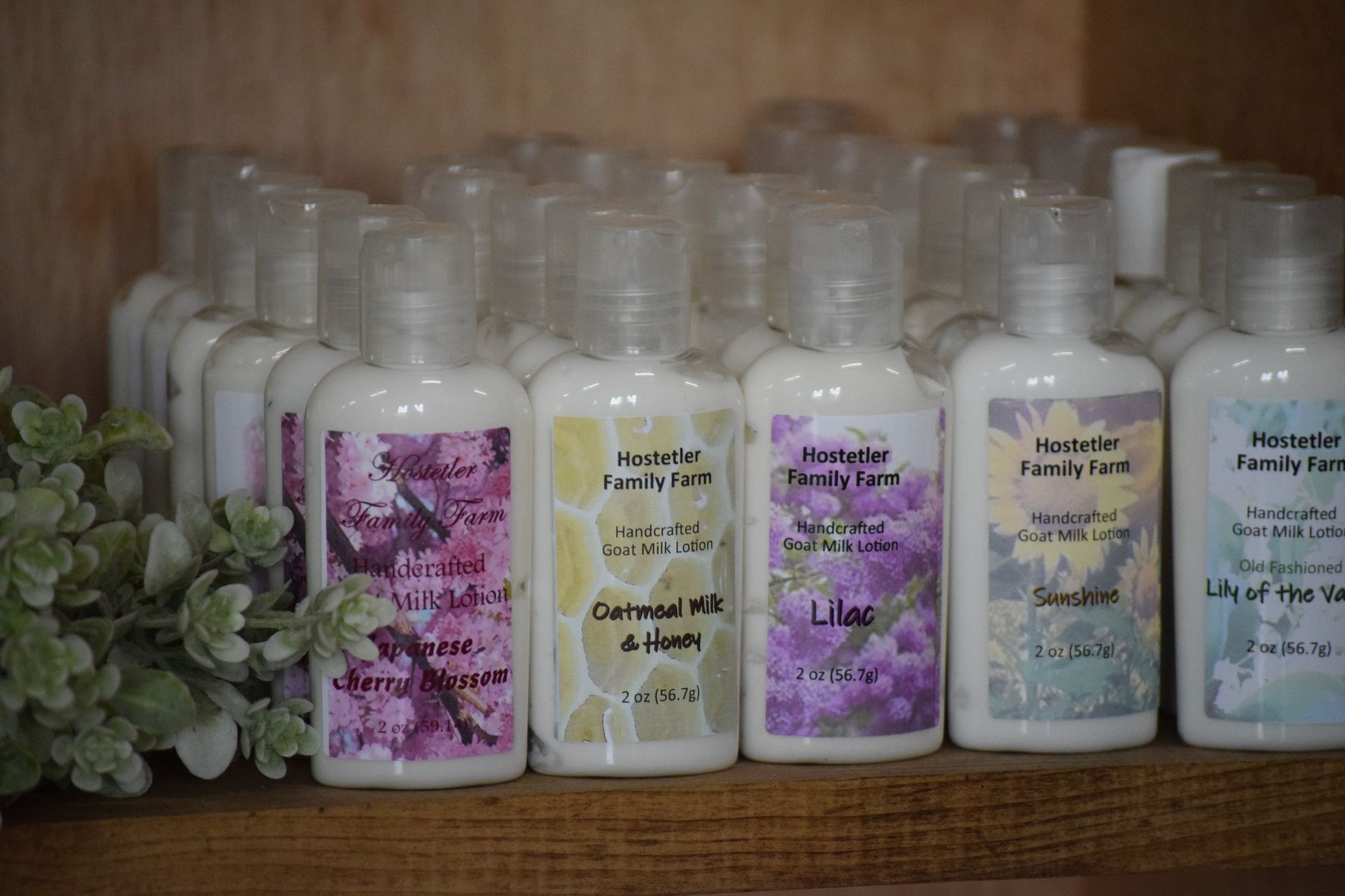 A bunch of bottles of lotion are sitting on a wooden shelf.