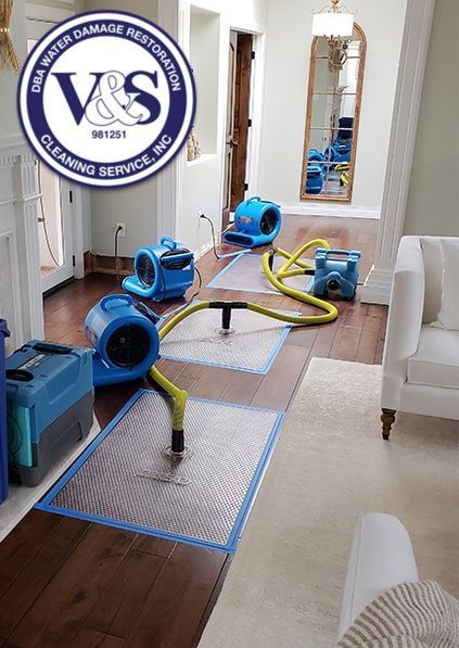 carpet dryers in the living room