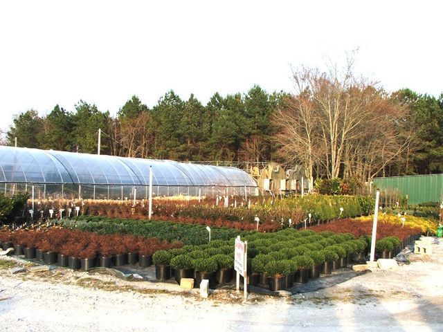 A greenhouse with lots of potted plants in front of it