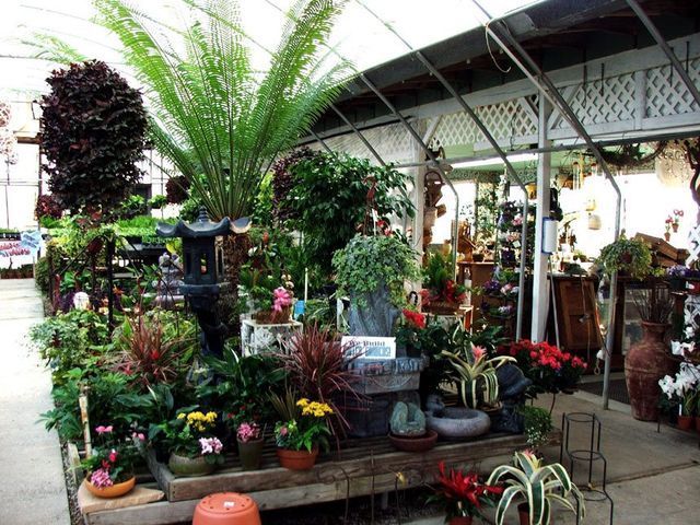 A greenhouse filled with lots of potted plants and flowers