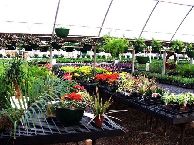 A greenhouse filled with lots of potted plants