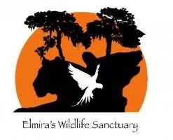 Elmira's Wildlife Sanctuary