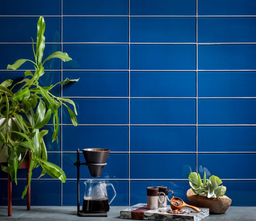 Blue tiled wall with coffee setup: pour-over, cups, and plant.