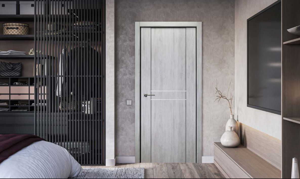 Bedroom interior with a light gray door, TV, and closet.