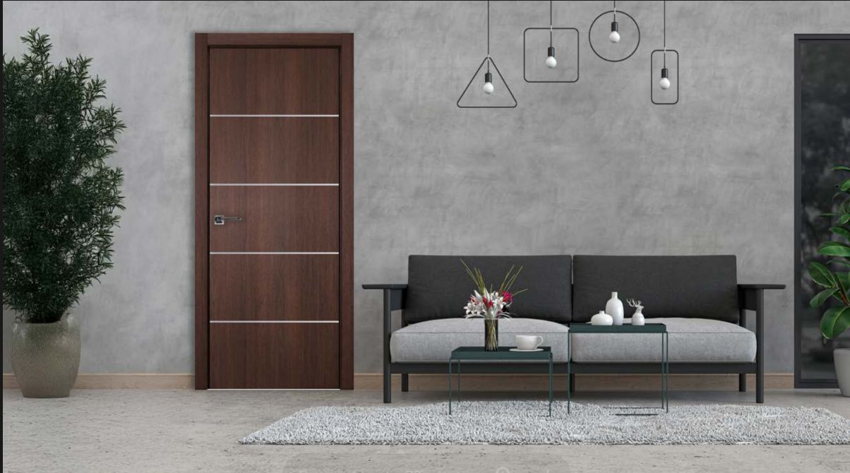 Brown door with horizontal silver accents, couch, rug, plants, and abstract lighting in a room with a gray wall.