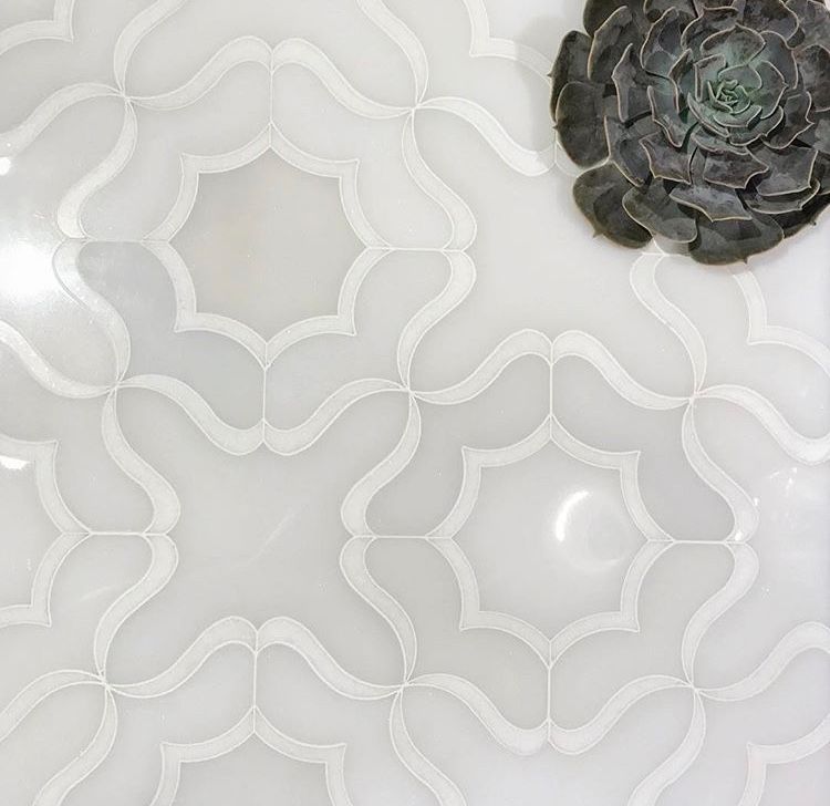 White patterned tile with a succulent plant on top.