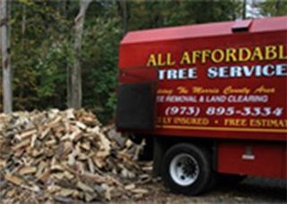 All Affordable Tree Service Firewood Randolph Nj