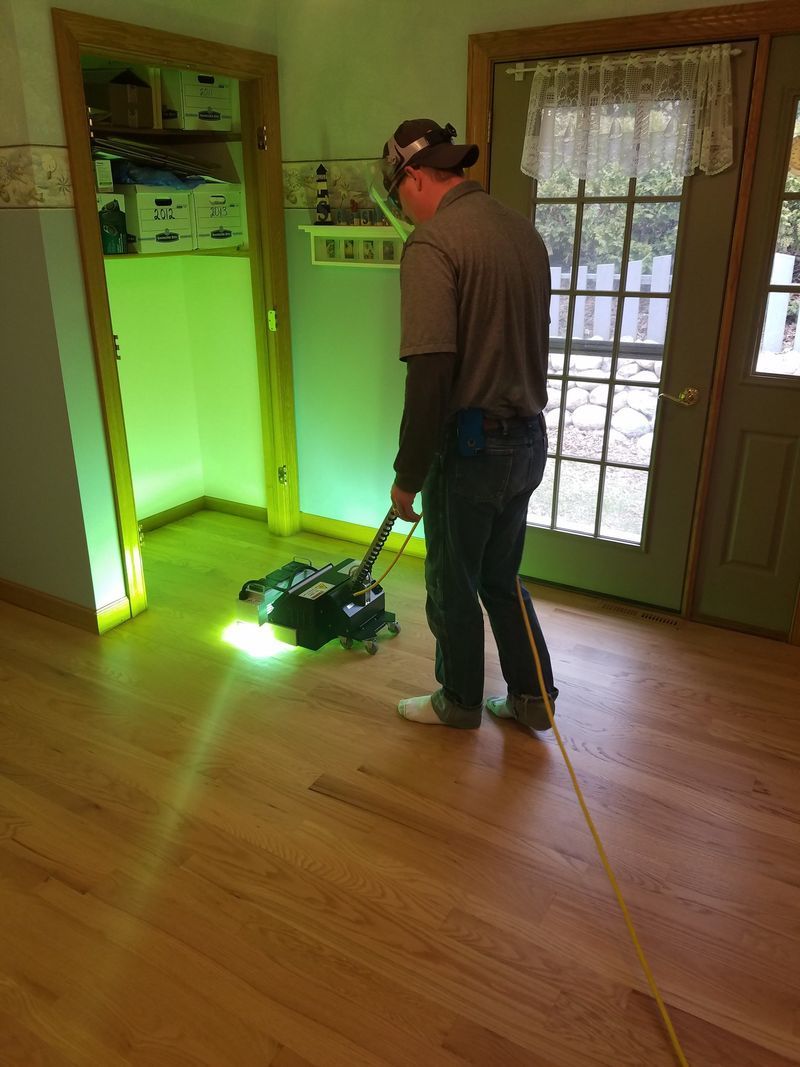 Worker operating floor sander in a wood-floored room with green-lit walls