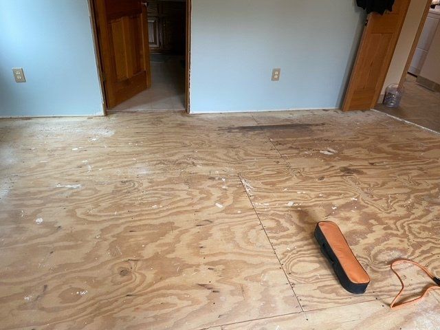 Plywood subfloor in an empty room with a small orange-and-black sanding tool on the floor.