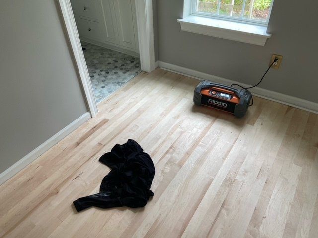 Black cat lying on wood floor in a room with a window and a toolbox.