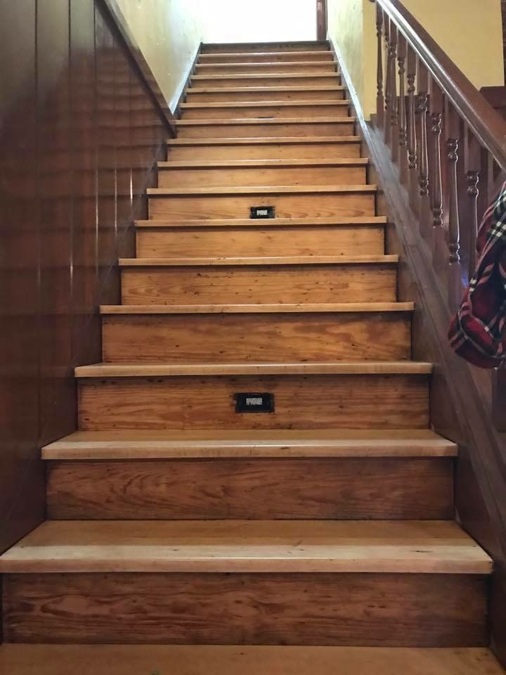 Wooden staircase with carpet runner, viewed from the bottom inside a house