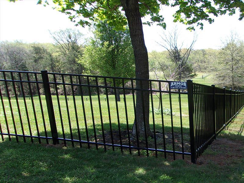 Black ornamental fence surrounding a tree in a grassy yard, with trees and a sky in the background.