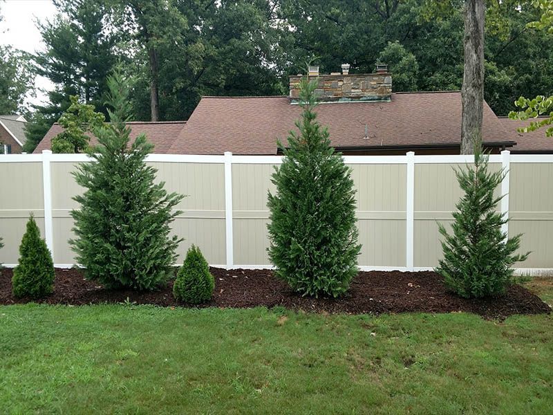 Green evergreen trees line a tan vinyl fence against a house with a brown roof, set on green grass.