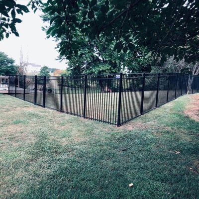 A black metal fence surrounds a lush green yard.