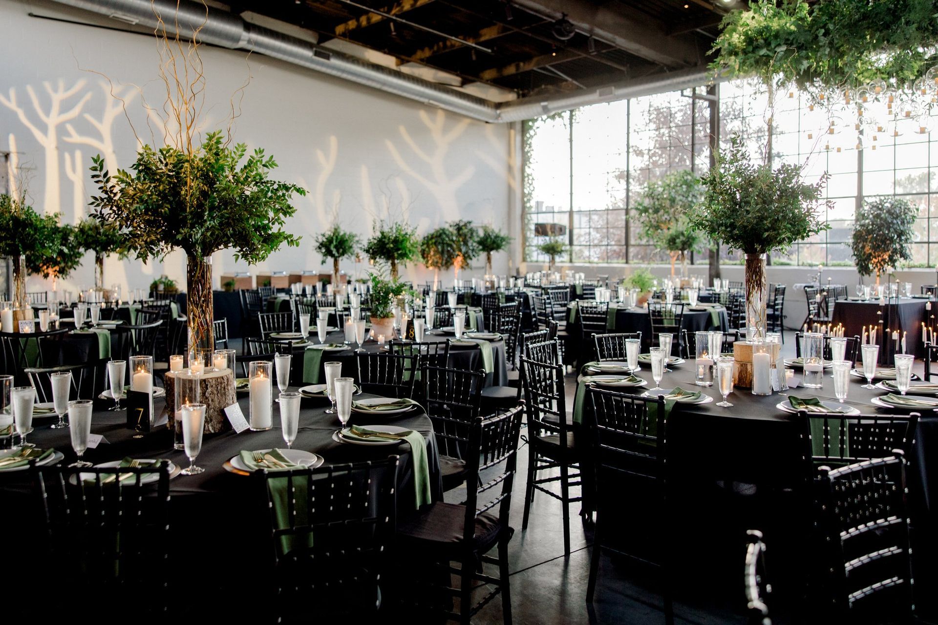 Reception hall with round tables set with black linens and green accents; trees as centerpieces.