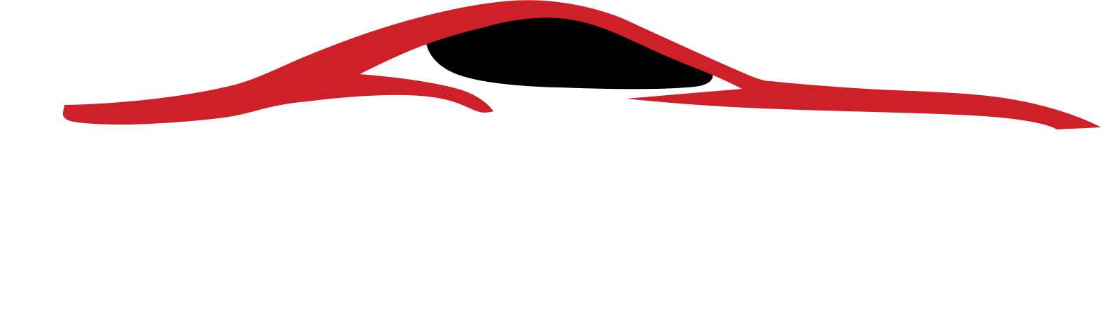 D & M Automotive - Logo