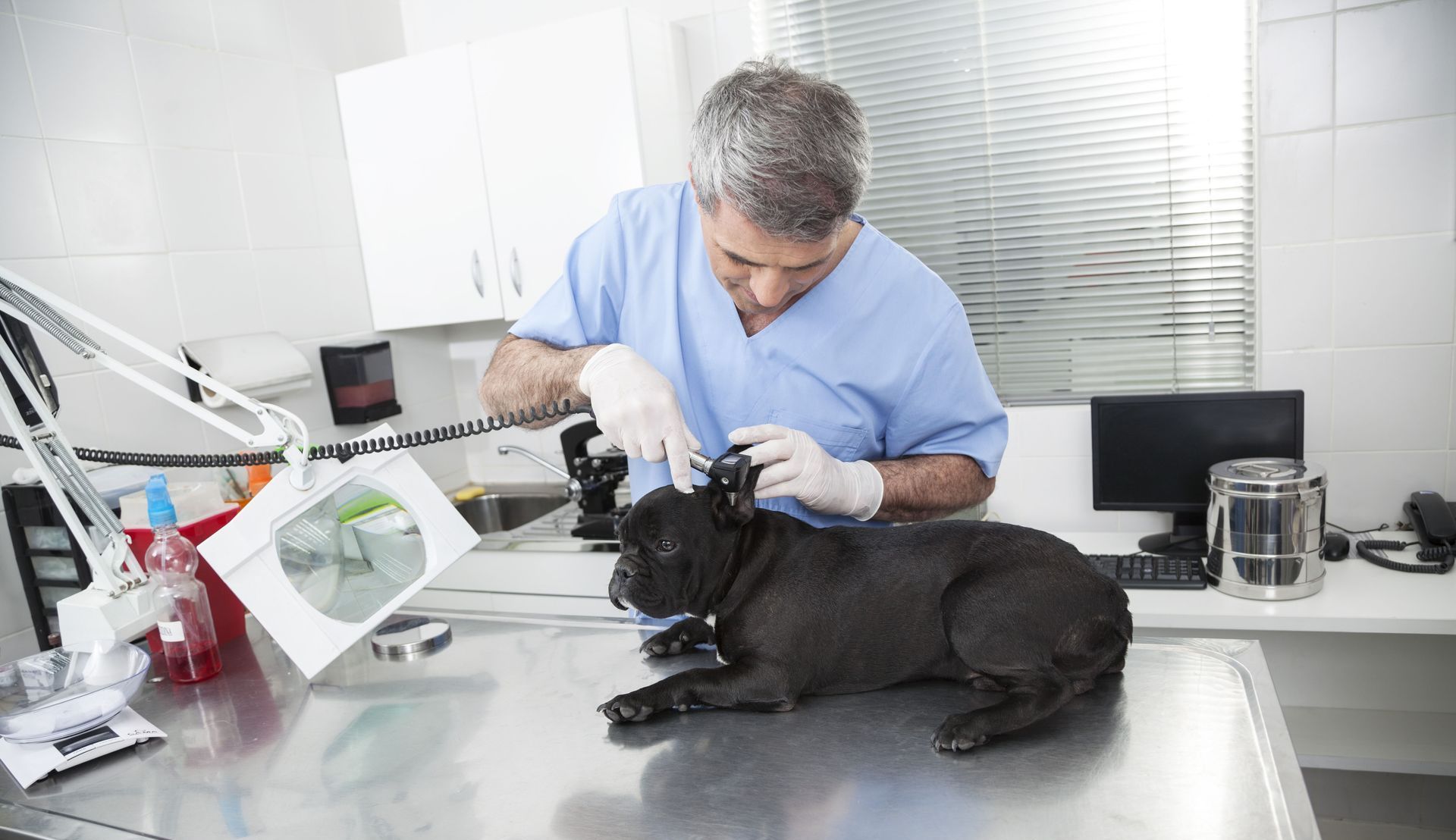 Sugar Land Pet Hospital