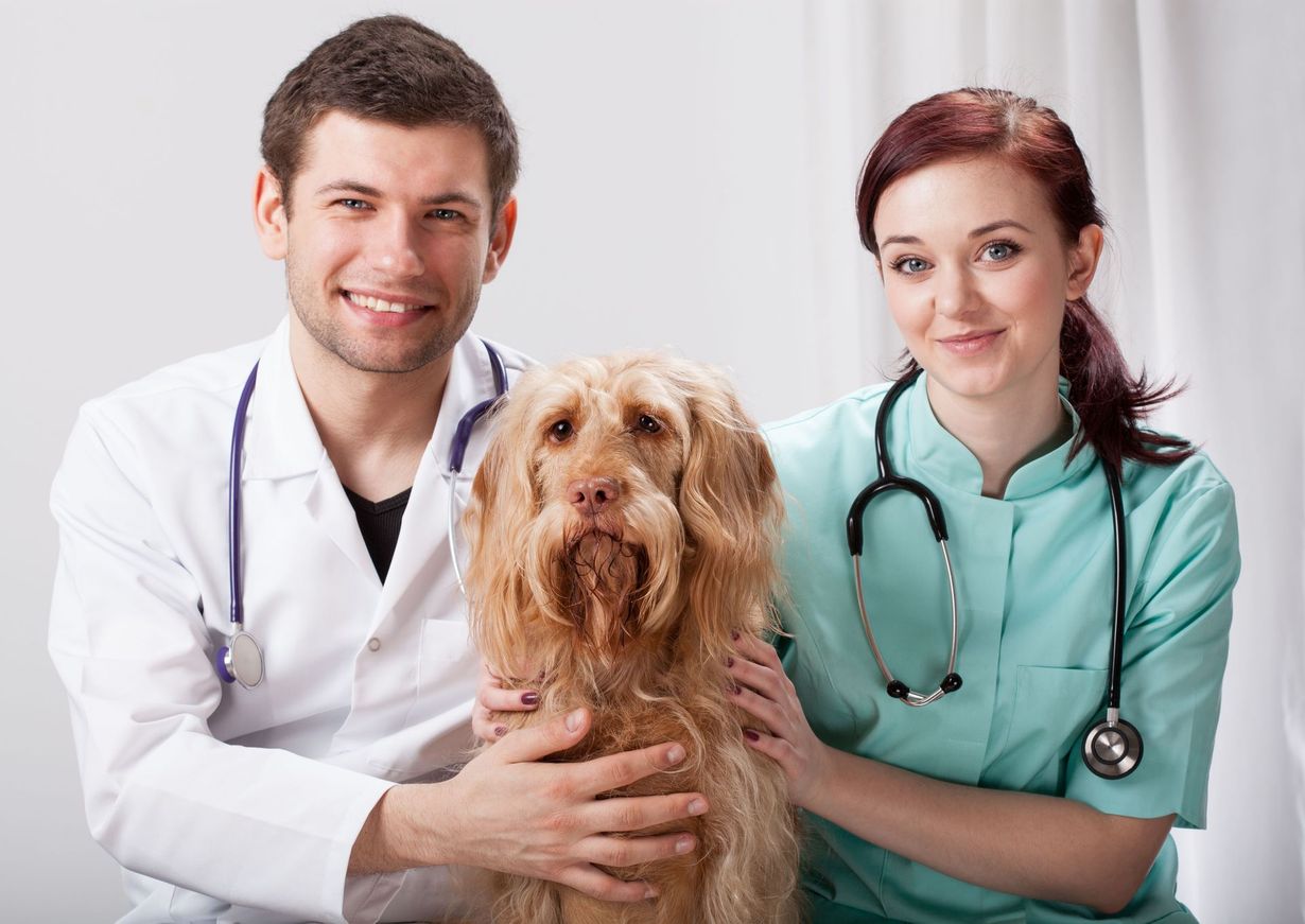 Sugar Land Pet Hospital