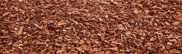 Free Wood Chips Free Mulch Tampa Fl