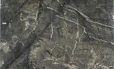 Dark gray rock surface with white vein-like structures, showing folds and fractures.