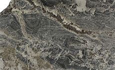 Close-up of a gray and white stone surface with swirling patterns and textures.