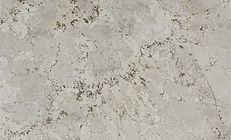 Textured, light gray stone surface with dark specks.