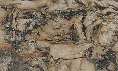 Close-up of a stone surface with swirling tan, black, and gray patterns.