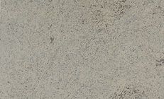 Gray, textured concrete surface with subtle variations in tone.
